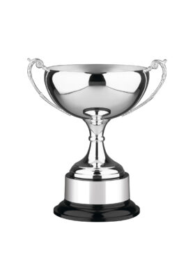 NH 12in Swatkins Prestige Award