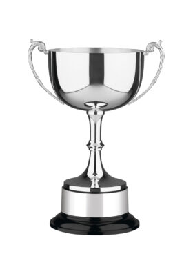 NH 14in Swatkins Prestige Award