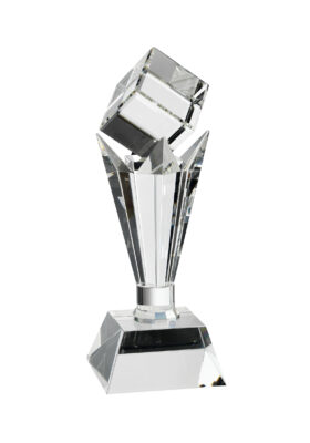 SBA/SBCVC Small Swatkins Mirage Award