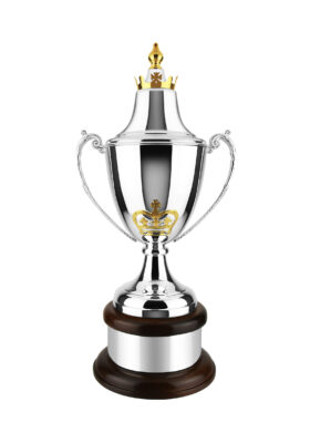 NH 17in Ultimate Award with lid