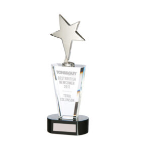 Chicago Crystal & Chrome Award 250mm
