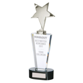 Chicago Crystal & Chrome Award 270mm
