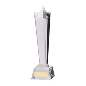 Seattle Star Crystal Award 250mm