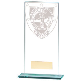 Millennium Longest Drive Jade Award 180mm