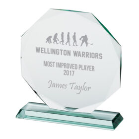 Jade Recognition Glass Award 200mm