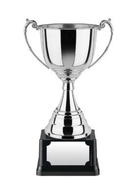 C-NH MB 17.5in Revolution Award