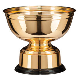 Sienna Gold Finished Bowl 210mm