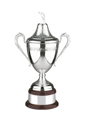 NH 21in Swatkins Ultimate Award Comp