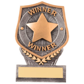 Falcon Achievement Winner Award 105mm