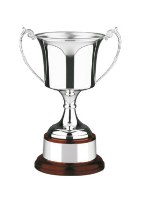 NH 11.25in Swatkins Silver Cup Complete