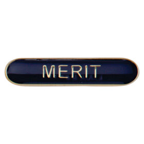 Scholar Bar Badge Merit Blue 40mm