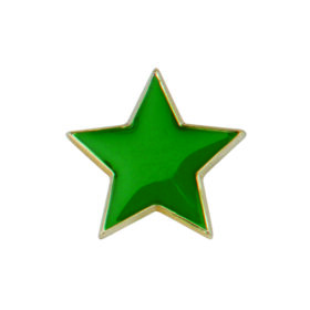 Scholar Pin Badge Star Green 20mm