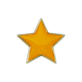 Scholar Pin Badge Star Yellow 20mm