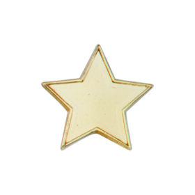Scholar Pin Badge Star Gold 20mm