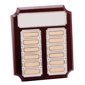 Superior Annual Plaque Award 230x190mm