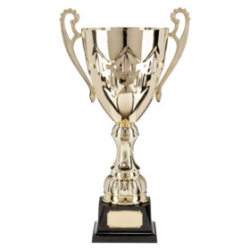 Legacy Super Cup Gold 325mm