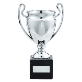 Legend Plastic Cup 180mm