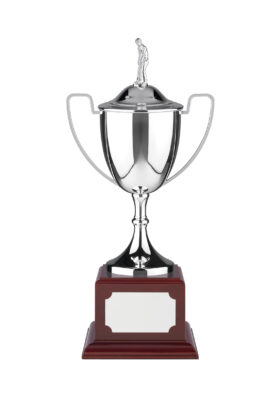 NH 15.25in Endurance Award