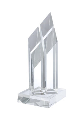 LG SBCC Swatkins Crystal Award