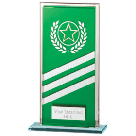 Talisman Multisport Mirror Glass Award Green & Silver 160mm