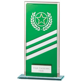 Talisman Multisport Mirror Glass Award Green & Silver 180mm