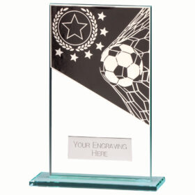Mustang Football Jade Glass Award 140mm