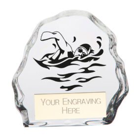 Mystique Swimming Glass Award 90mm