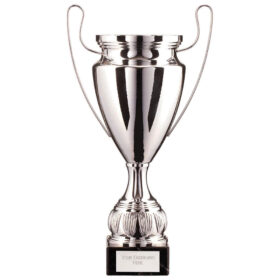 EuroStars Cup Silver 370mm