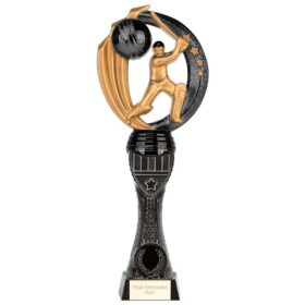 Renegade Heavyweight Cricket Award Black 250mm