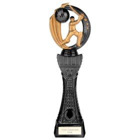 Renegade Heavyweight Cricket Award Black 310mm