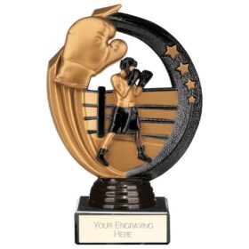Renegade Legend Boxing Award Black 145mm