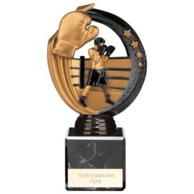 Renegade Legend Boxing Award Black 175mm