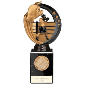 Renegade Legend Boxing Award Black 200mm