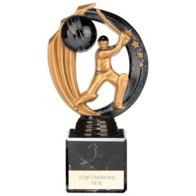 Renegade Legend Cricket Award Black 175mm