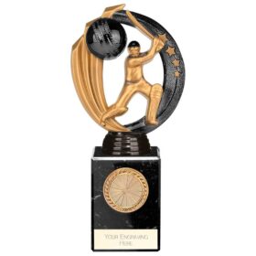 Renegade Legend Cricket Award Black 200mm