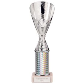 Rising Stars Plastic Trophy Silver 255mm
