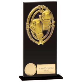Maverick Fusion Boxing Black Glass 180mm