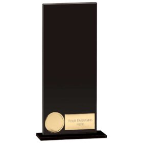 Hero Glass Award Jet Black 200mm