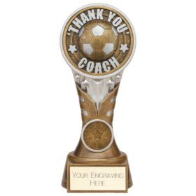 Ikon Tower Thank you Coach Award Antique Silver & Gold 175mm