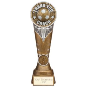 Ikon Tower Thank you Coach Award Antique Silver & Gold 225mm