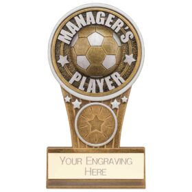 Ikon Tower Managers Player Award Antique Silver & Gold 125mm