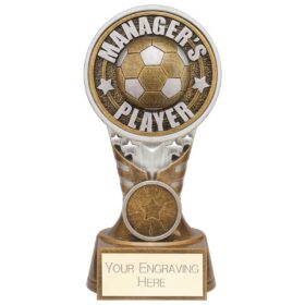 Ikon Tower Managers Player Award Antique Silver & Gold 150mm