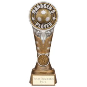 Ikon Tower Managers Player Award Antique Silver & Gold 200mm