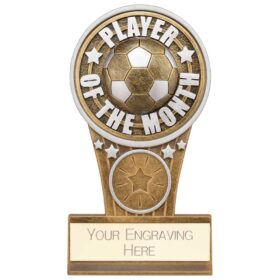 Ikon Tower Player of the Month Award Antique Silver & Gold 125mm