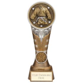 Ikon Tower Martial Arts Award Antique Silver & Gold 200mm