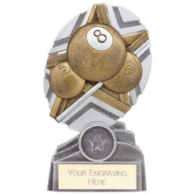 The Stars Pool Plaque Award Silver & Gold 150mm