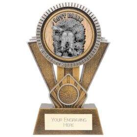 Apex Goof Balls Lost Balls Award Antique Gold & Silver 180mm