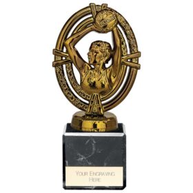 Maverick Legend Netball Award Fusion Gold 150mm