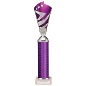 Hurricane Multisport Plastic Tube Cup Silver & Purple 320mm