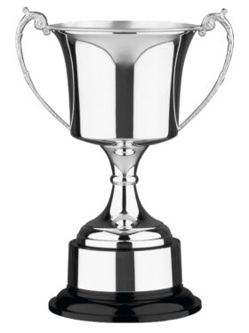 NH 11.25in Swatkins Prestige Award